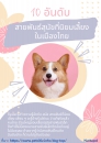 10 สายพันธุ์ สุนัข ยอดฮิตในไทย  